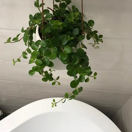 Apartmán Gattaglio 22 Reggio Emilia
