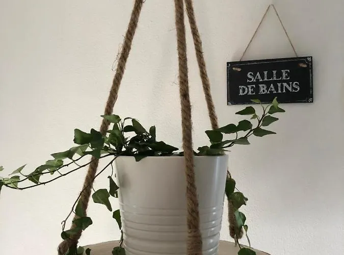 Gattaglio 22 Reggio Emilia