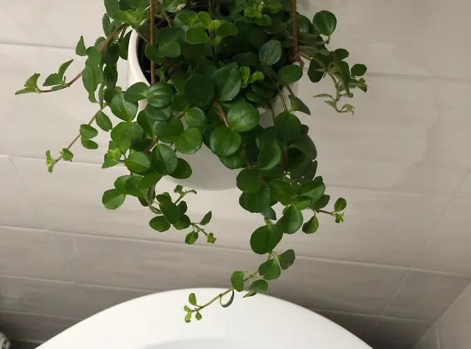 Apartamento Gattaglio 22 Reggio Emilia